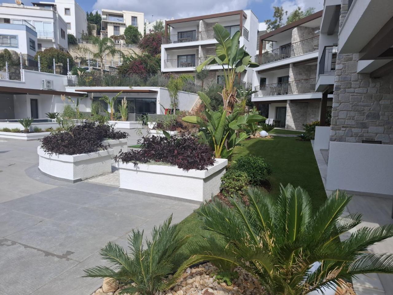 CLUB PEDALISA — BODRUM — фотография отеля №28