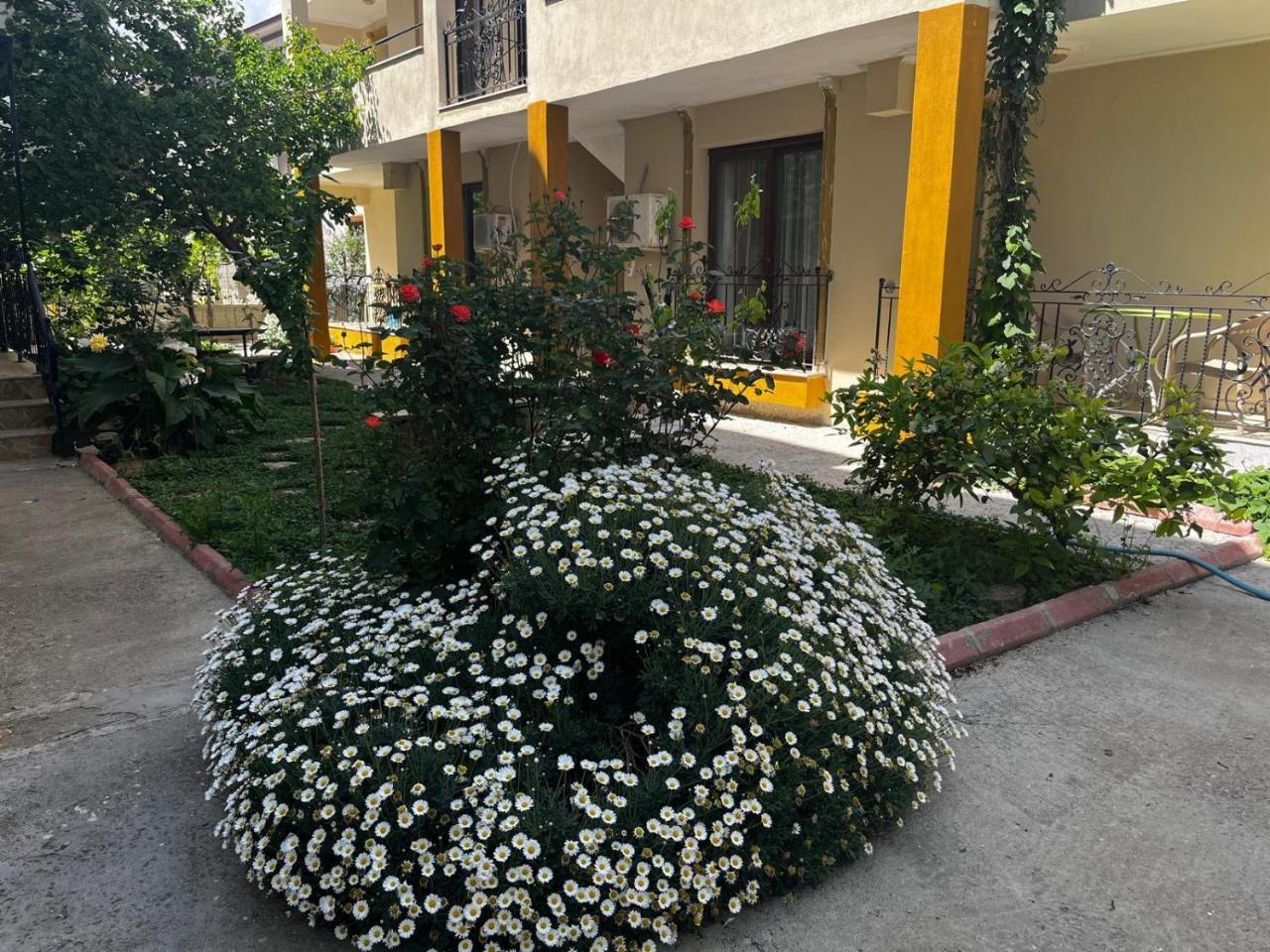 TEOS INN HOLIDAY APARTMENTS — SEFERIHISAR — фотография отеля №30