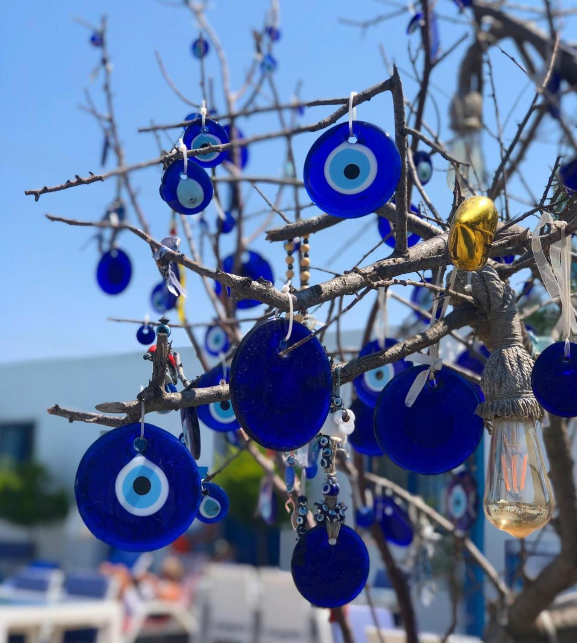 MAVI RESTAURANT & BISTRO VILLAS — DIDIM — фотография отеля №4