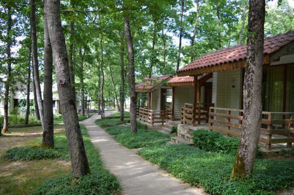 VILLAS AND MAISONETTE ROPOTAMO — PRIMORSKO — фотография отеля №8