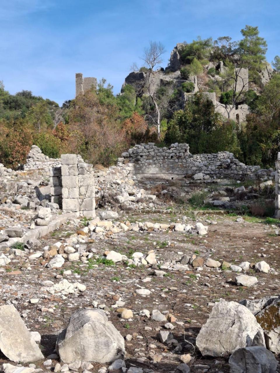 ORANGE GARDEN — KEMER — фотография отеля №31
