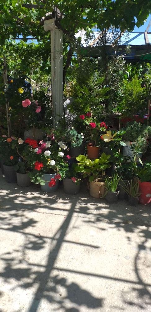 SEDA PANSIYON — CESME — фотография отеля №22