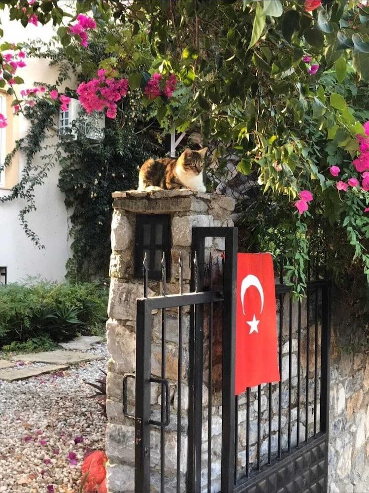 VILLA YASEMIN — GOCEK — fotografie hotel nr. 22