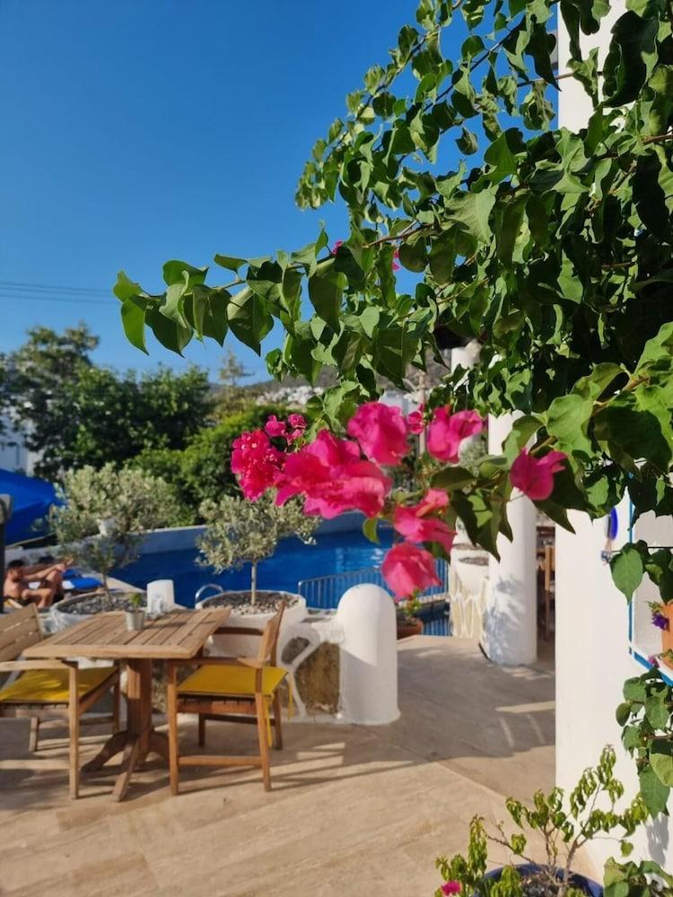 EDEN HOTEL BODRUM — BODRUM — fotografie hotel nr. 11