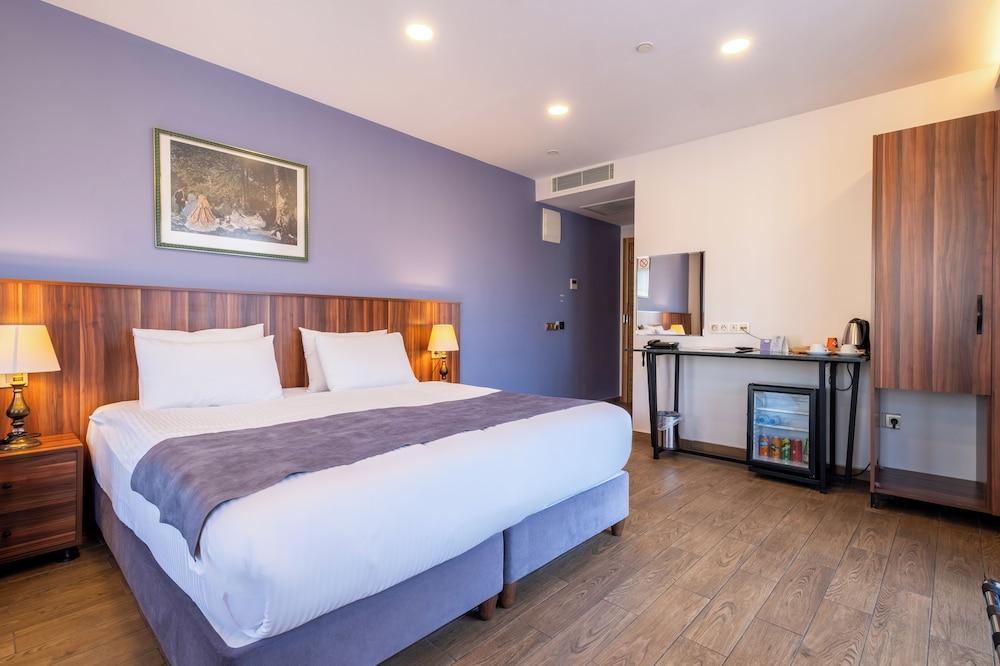 WISTERIA BOUTIQUE HOTEL BOMONTI — ISTANBUL — fotografie hotel nr. 4