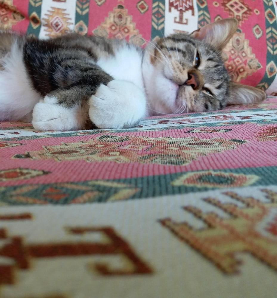 KILIM HOTEL — DALYAN — фотография отеля №13