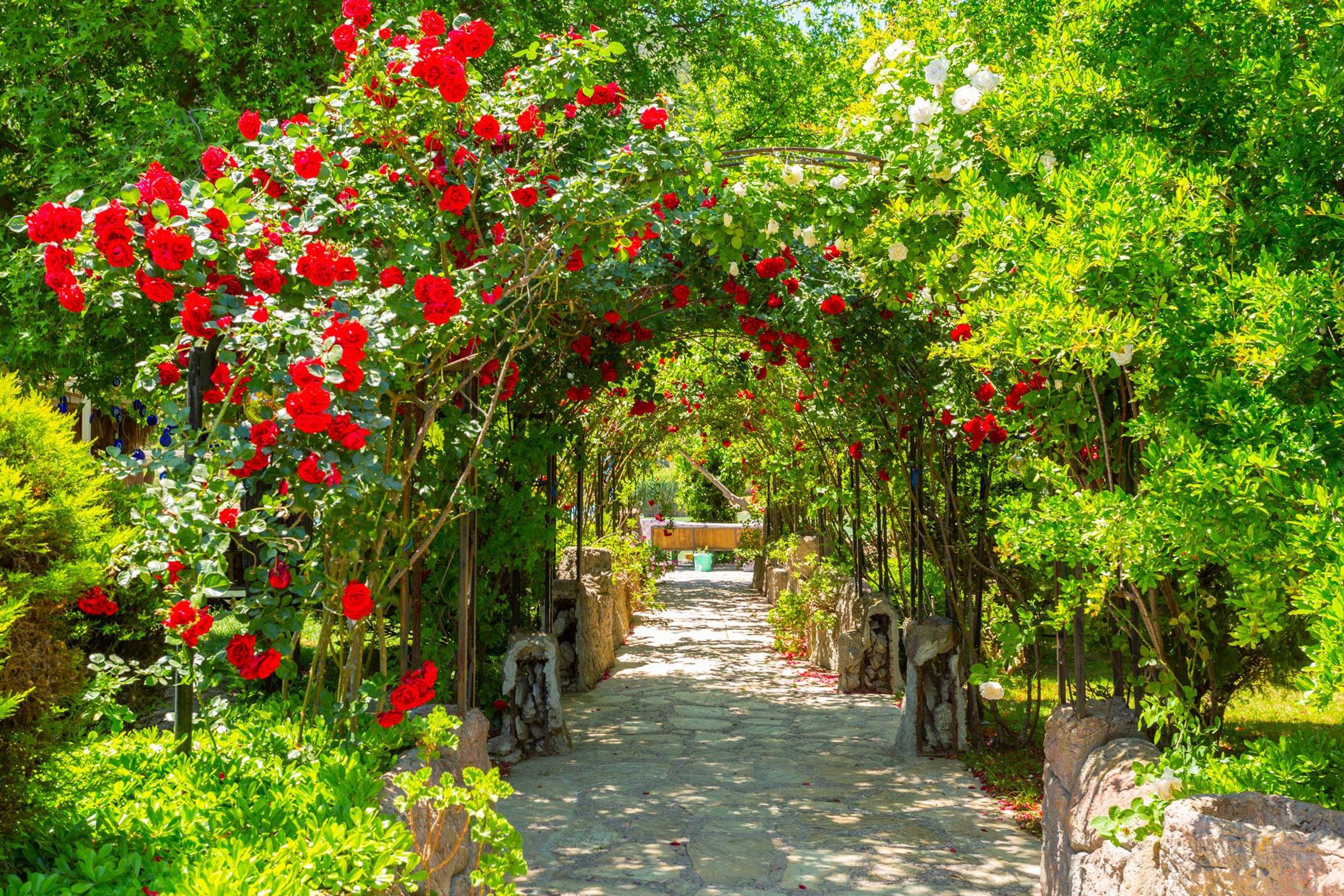 VILLA MELEK PARADISE PRIVATE POOL A C WIFI CAR NOT REQUIRED ECO-FRIENDLY - 2235 — DALYAN — фотография отеля №25