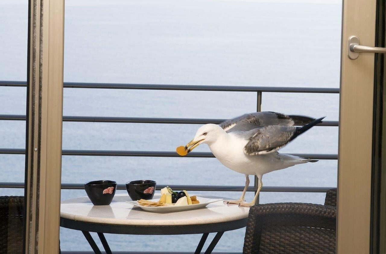 CINAR HOTEL — ISTANBUL — fotografie hotel nr. 20