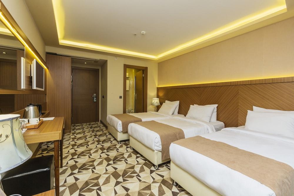 ATRO HOTEL — ISTANBUL — фотография отеля №10