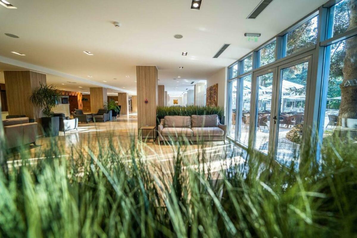 VIVA CLUB HOTEL — GOLDEN SANDS — fotografie hotel nr. 22