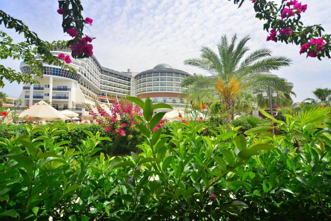 SEADEN SEA PLANET RESORT & SPA — KIZILOT — фотография отеля №13