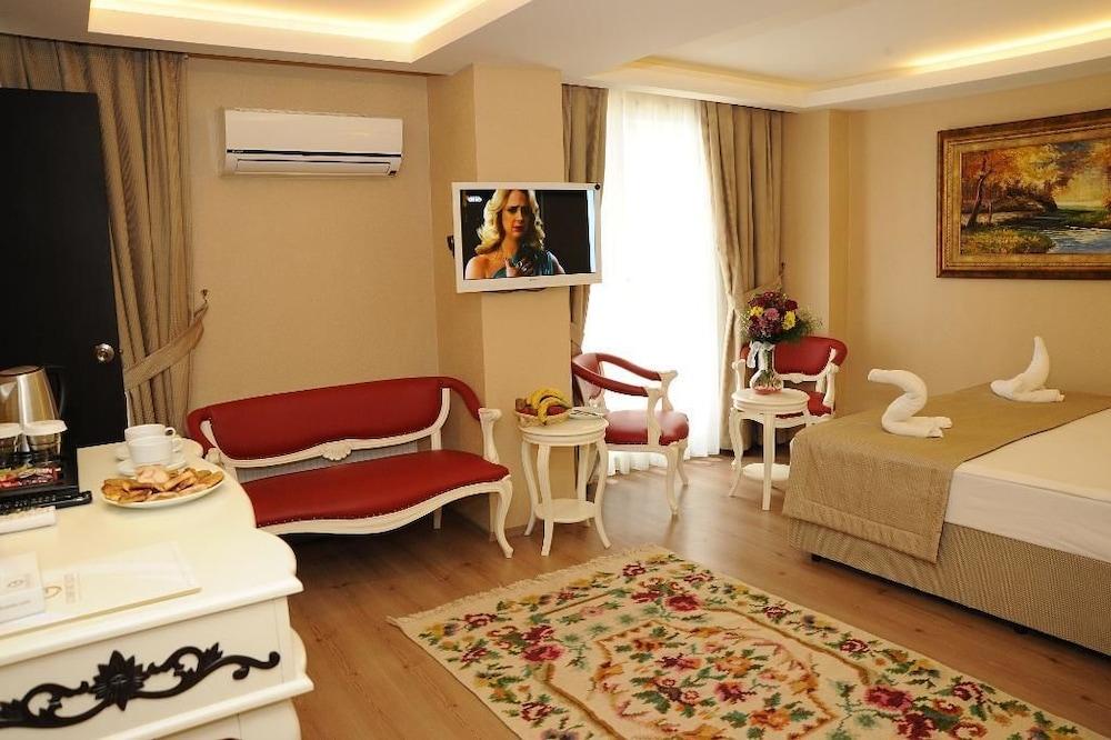 COMFORT ELITE HOTELS SULTANAHMET — ISTANBUL — fotografie hotel nr. 10