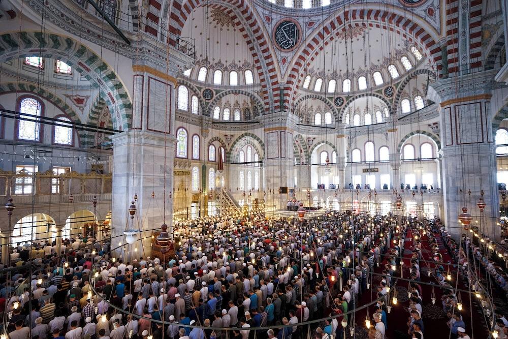LEVNI PLUS HOTEL — ISTANBUL — фотография отеля №33