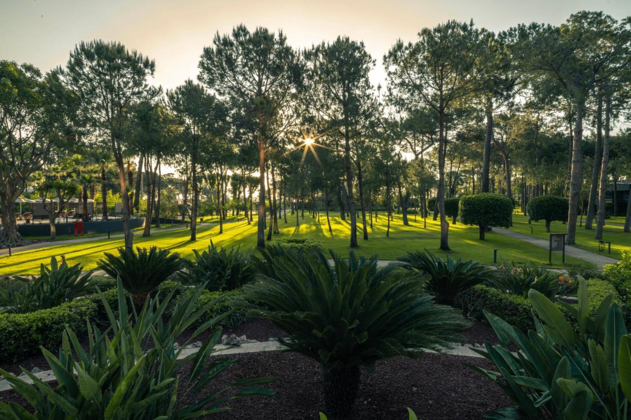 BALMY FORESTA — KEMER — фотография отеля №10