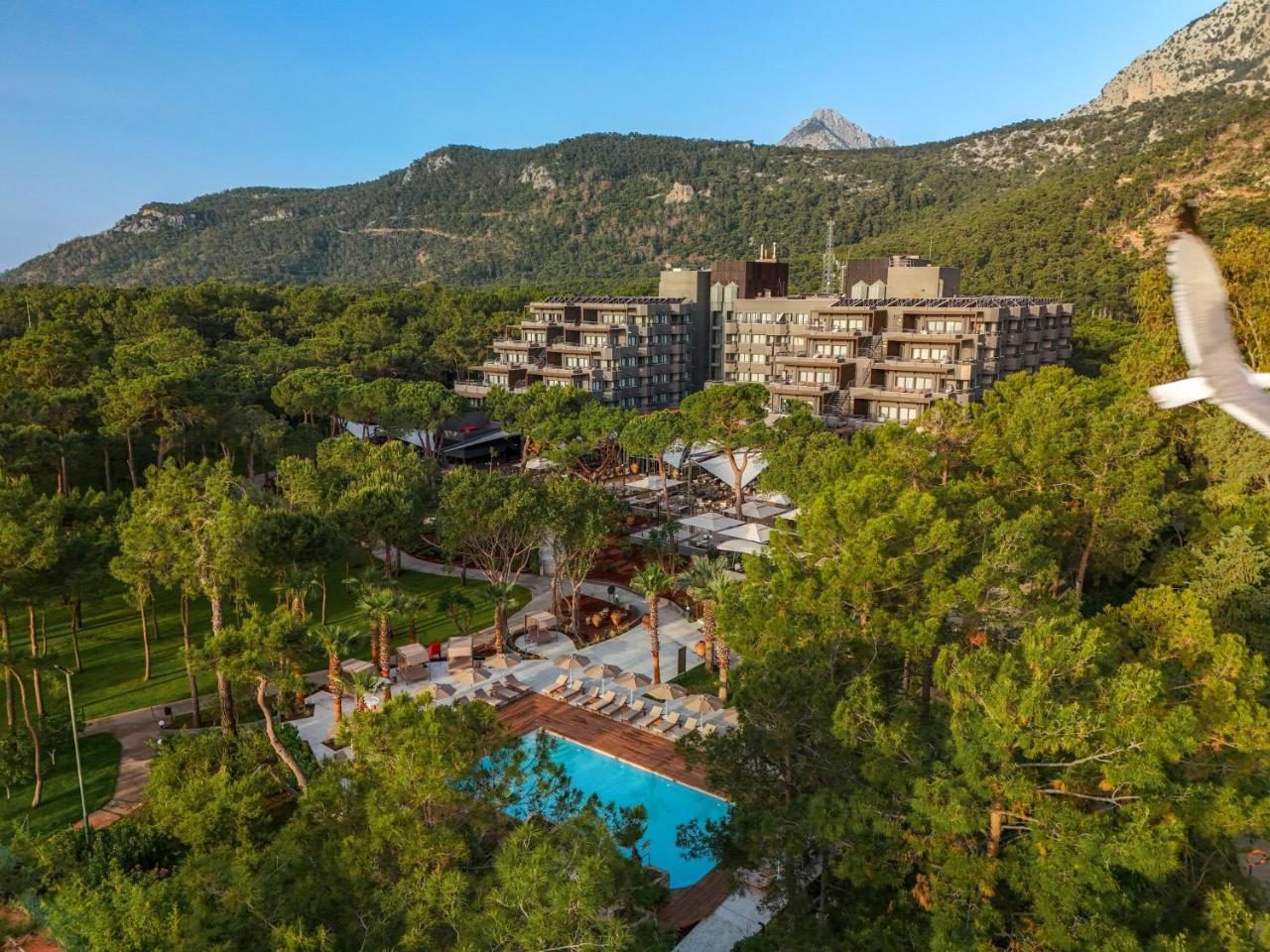 BALMY FORESTA — KEMER