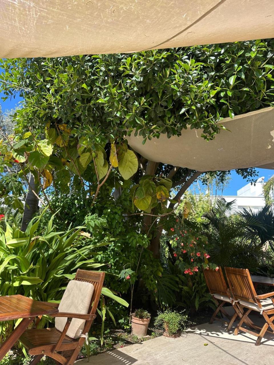 KARIA PRINCESS — BODRUM — fotografie hotel nr. 4