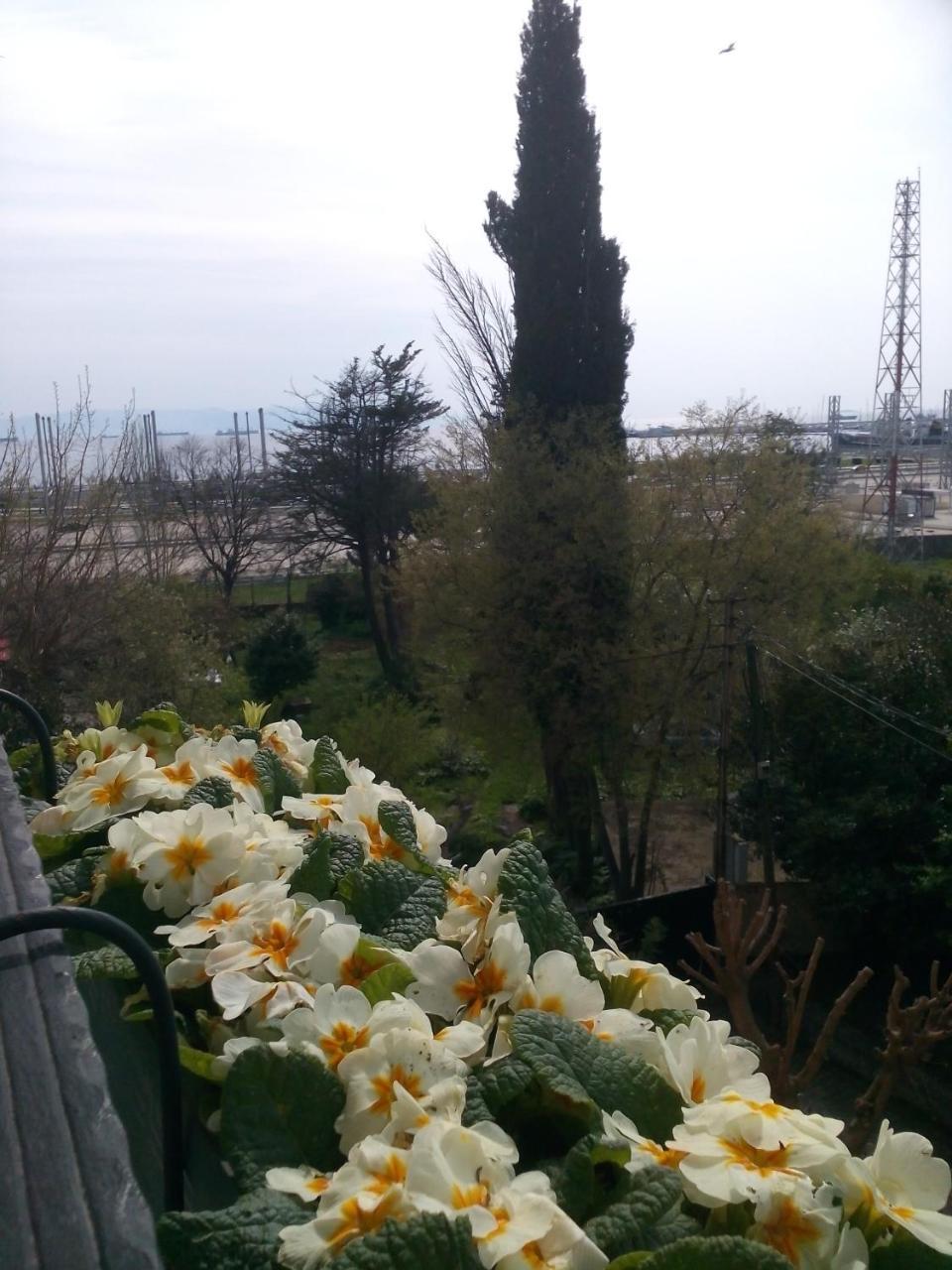 PENDIK MARINE — ISTANBUL — фотография отеля №34