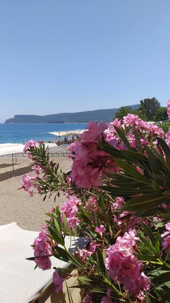 UGUR HOTEL — KEMER — фотография отеля №28