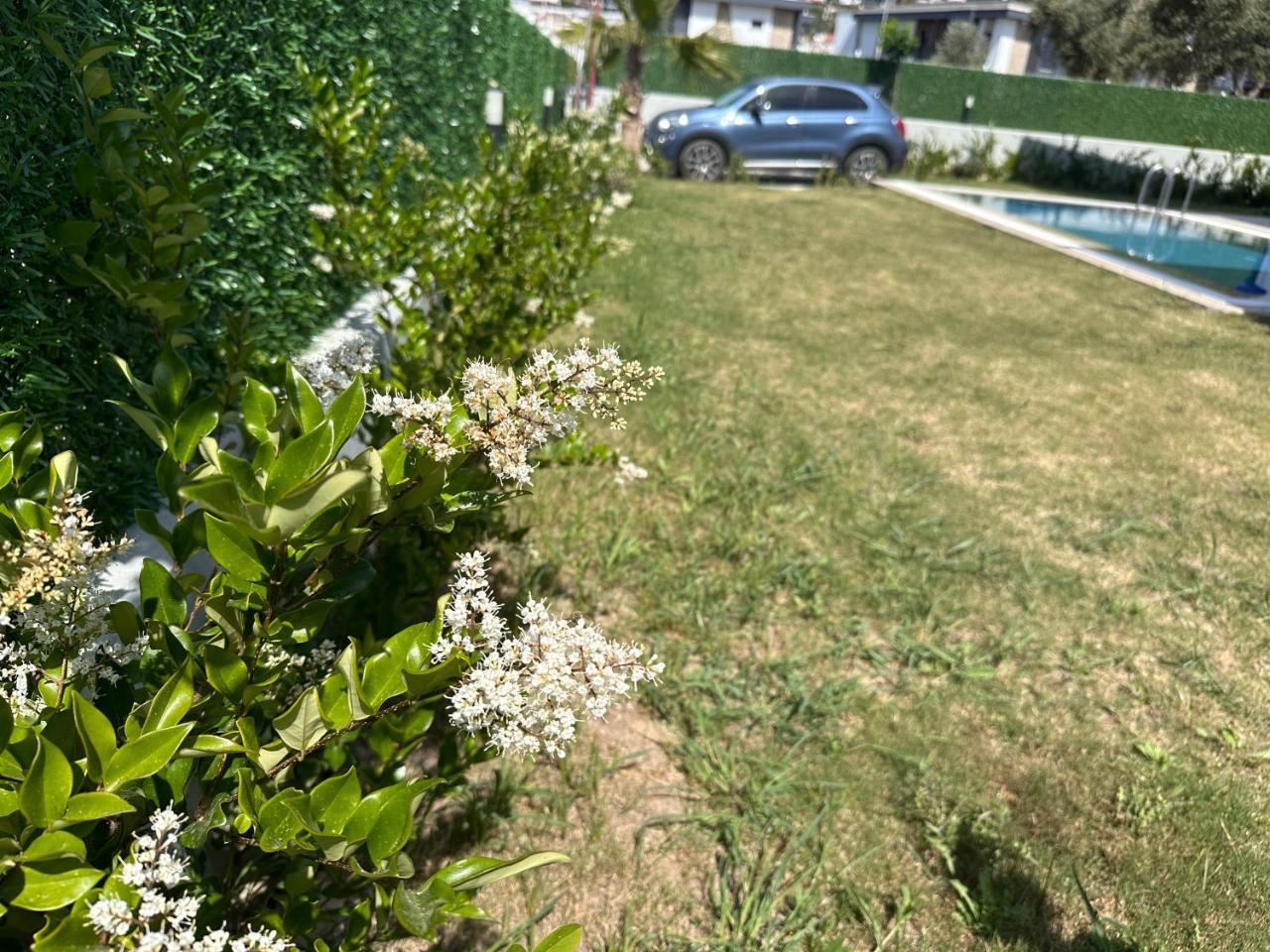 ARGUN PRIVATE VILLA — KUSADASI — фотография отеля №8