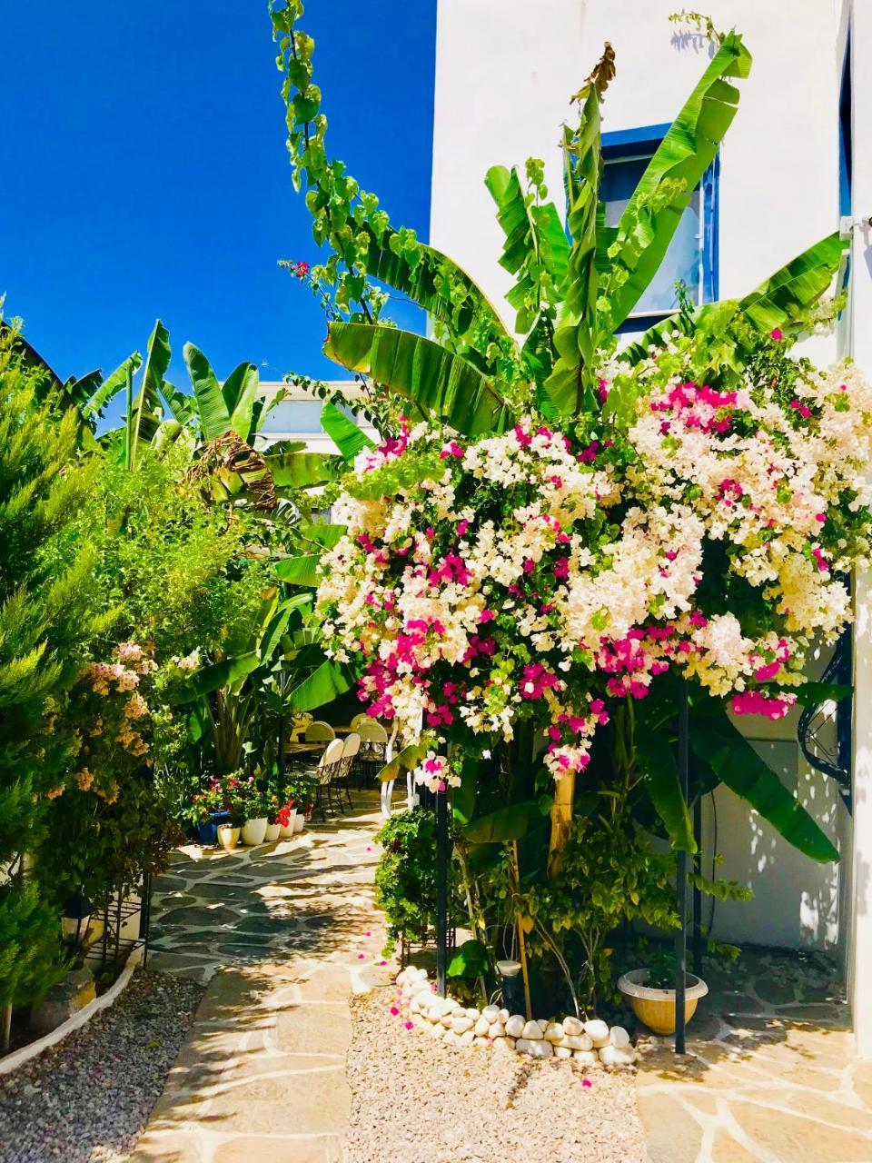 ARTUNC — BODRUM — fotografie hotel nr. 13
