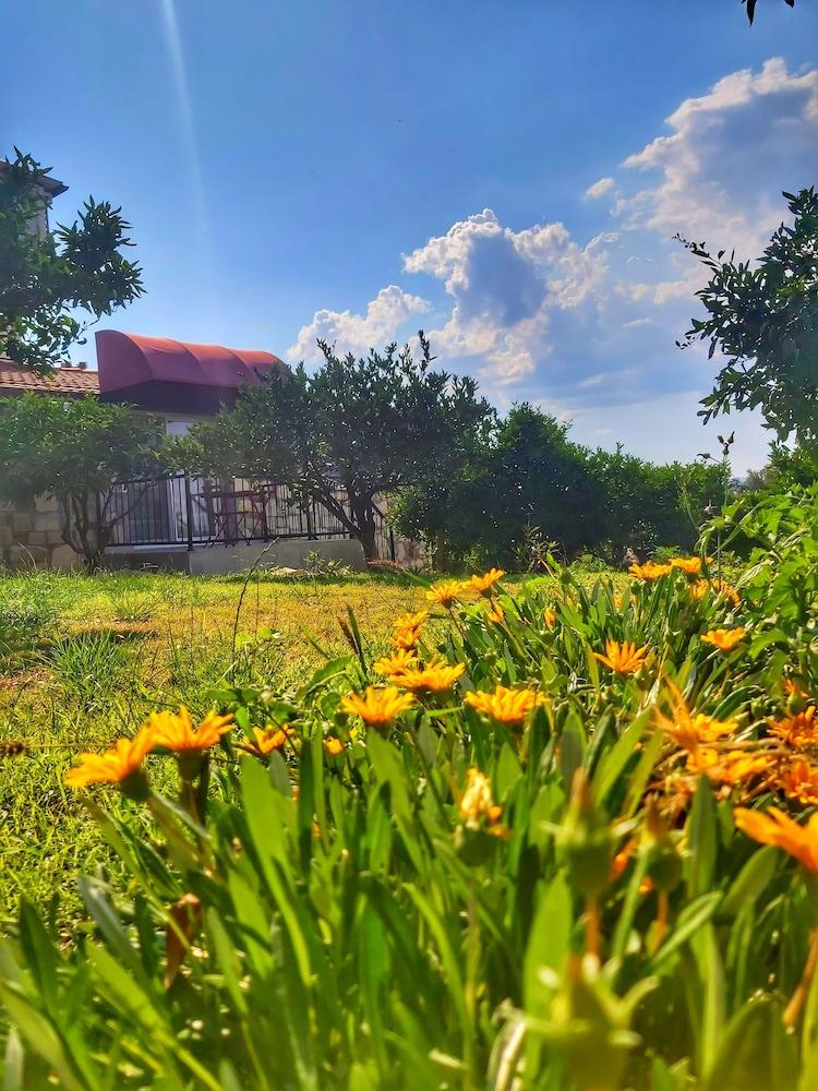 SATSUMA BUTIK OTEL — SEFERIHISAR — fotografie hotel nr. 14