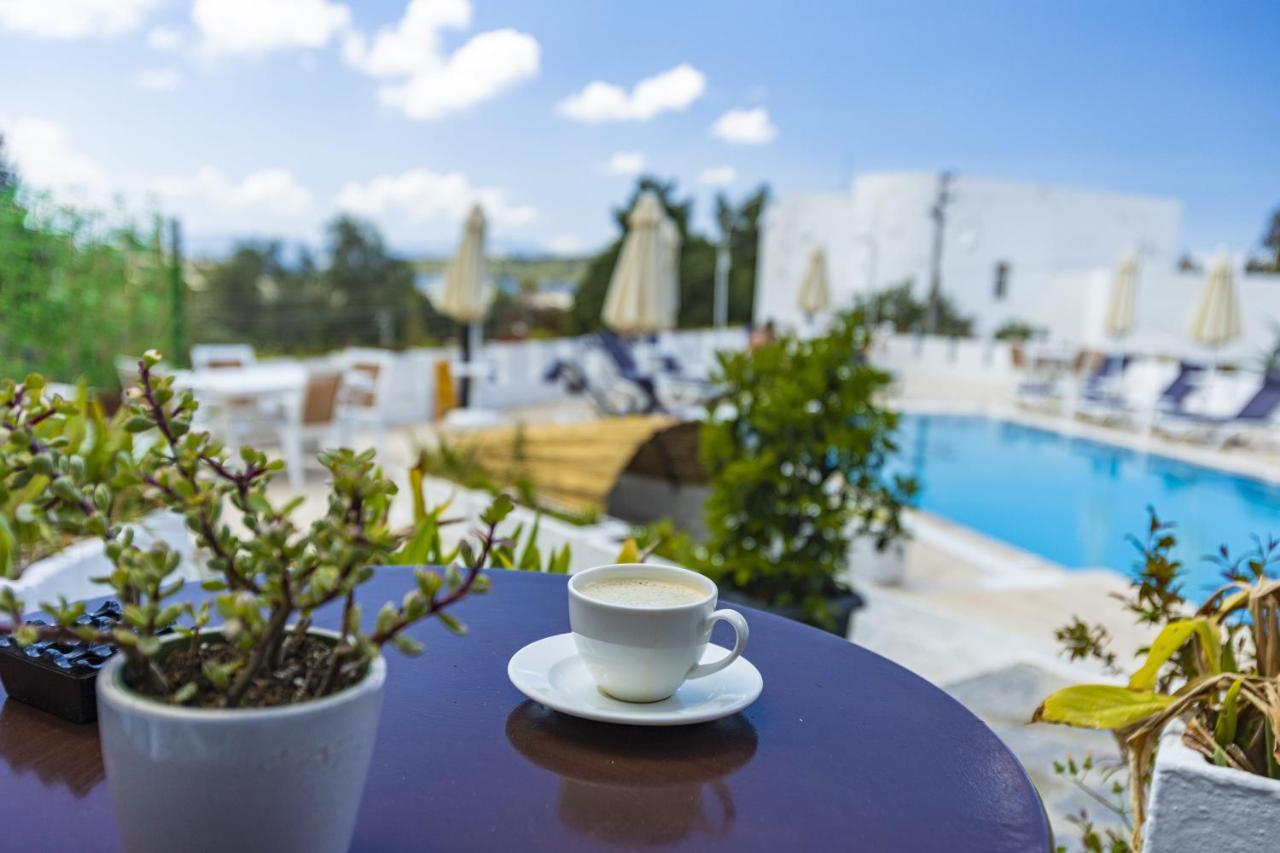 BODRUM VERA HOTEL (ADULTS ONLY) — BODRUM — fotografie hotel nr. 14