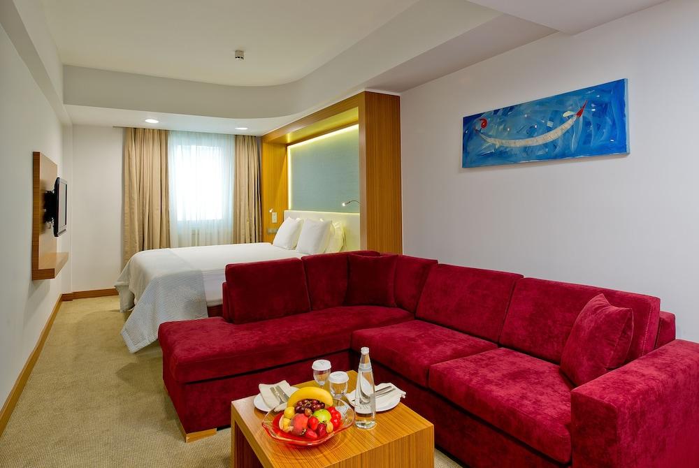 DIVAN ISTANBUL CITY — ISTANBUL — фотография отеля №21