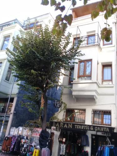 BARAN HOME APARTS — ISTANBUL — фотография отеля №2