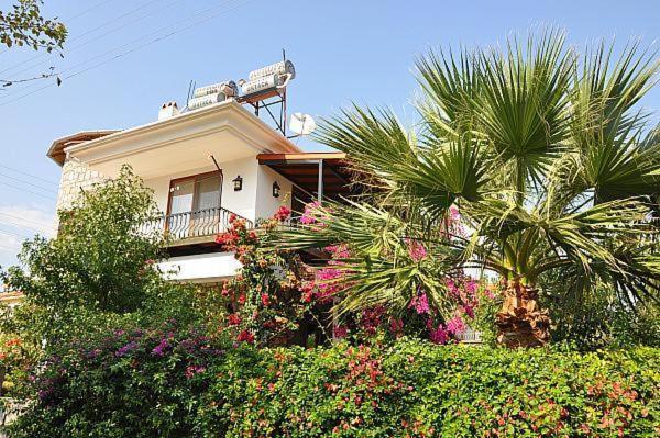 IZTUZU EXCLUSIVE — DALYAN