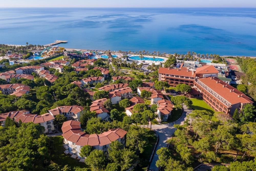 PAPILLON BELVIL — BELEK