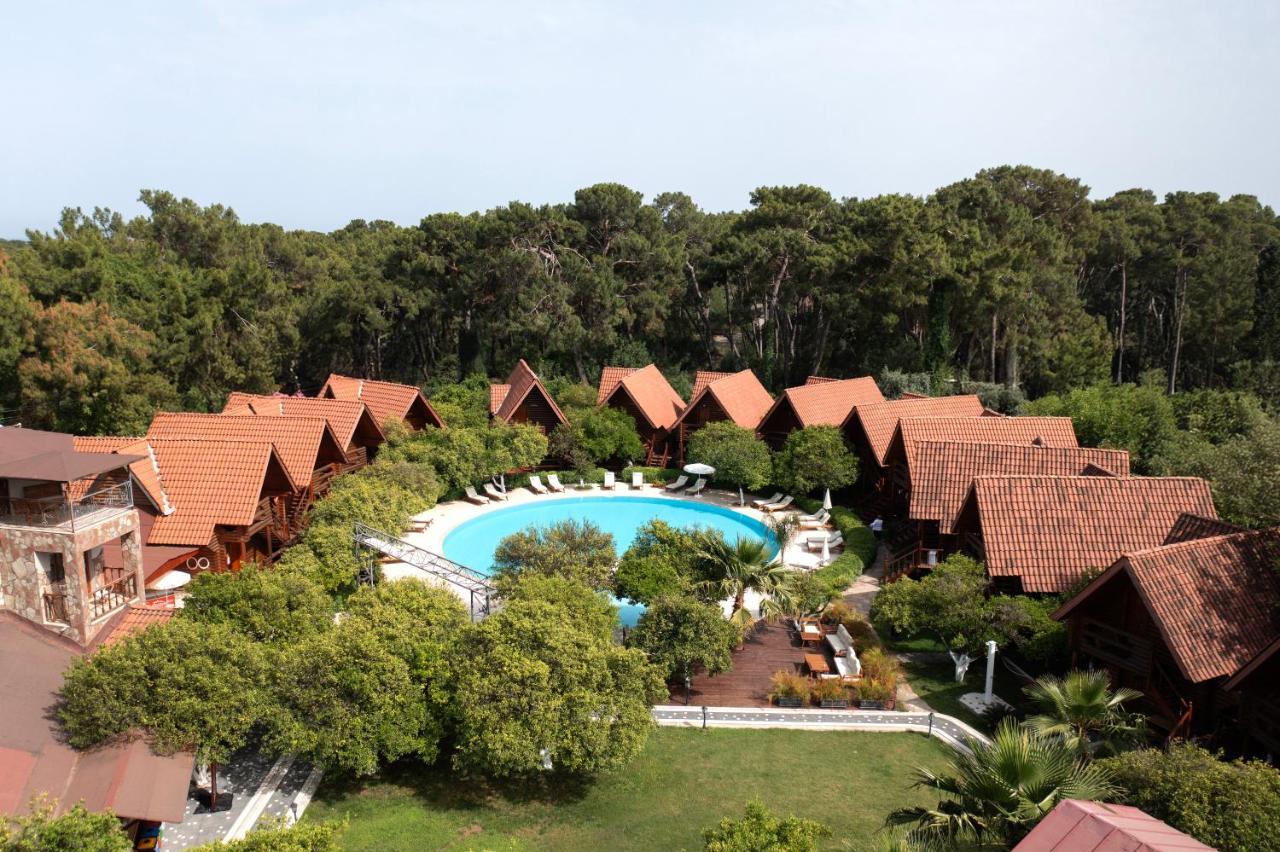 WOODLINE HOTEL — GOYNUK — фотография отеля №3