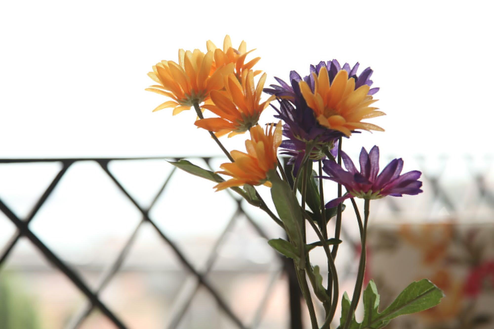 YESIM SUITES — ISTANBUL — fotografie hotel nr. 25