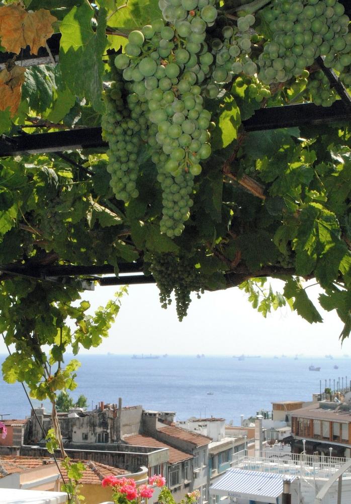 HOTEL BUHARA FAMILY INN — ISTANBUL — fotografie hotel nr. 42