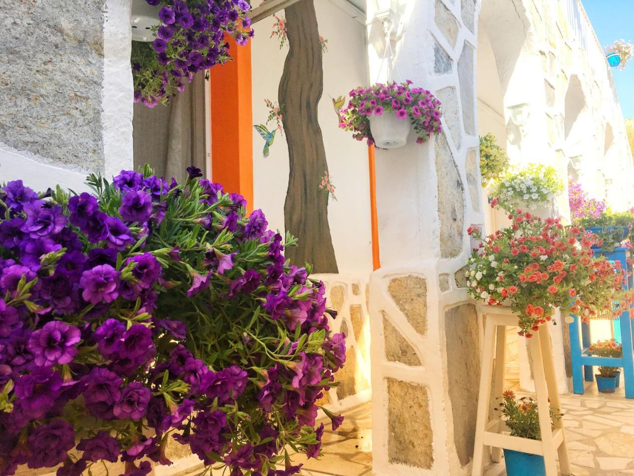 SADE BUTIK OTEL — BODRUM — фотография отеля №20