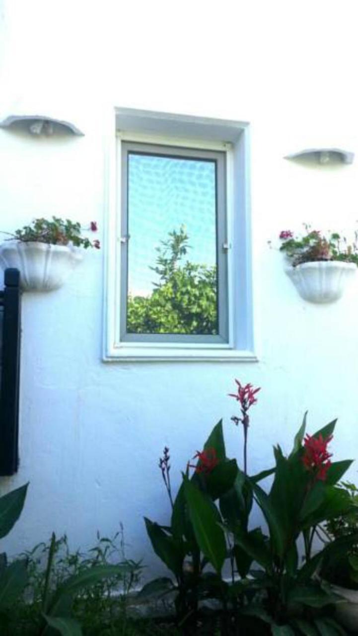 EMELCE APARTS — BODRUM — фотография отеля №6