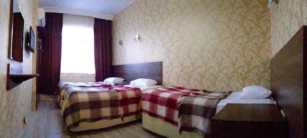 OTEL ERCIYES — ISTANBUL — фотография отеля №9