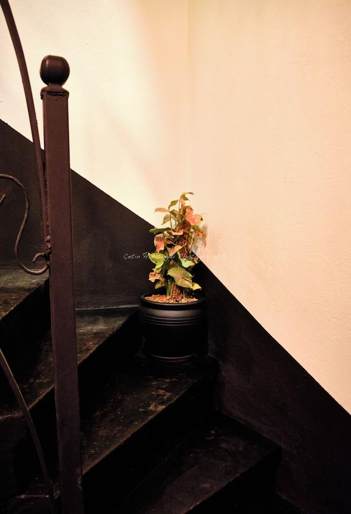 ROYAROOMS — ISTANBUL — фотография отеля №34