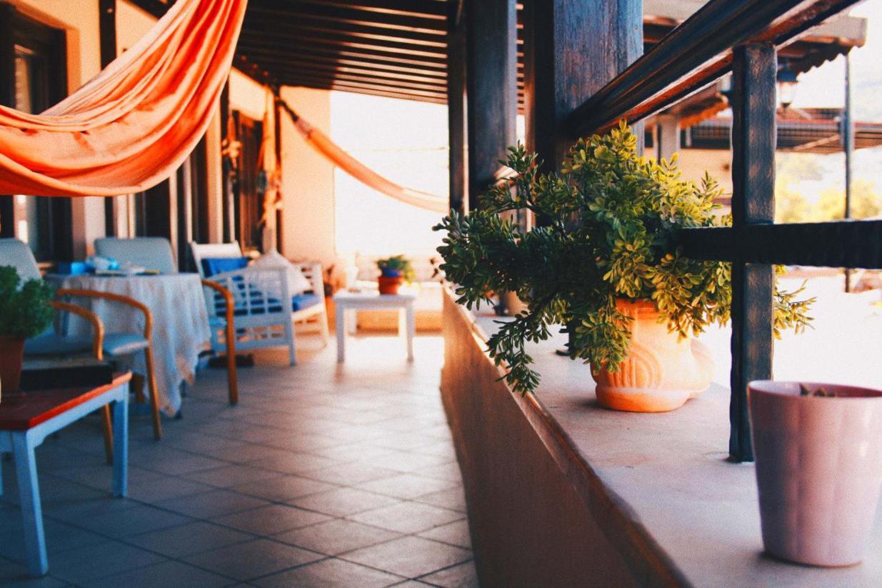 LA LUNA HOSTEL (ADULTS ONLY) — BODRUM — фотография отеля №9