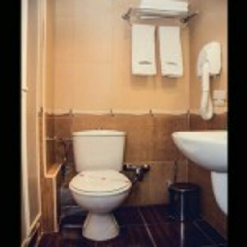 ZDRAVETS SPA HOTEL — VELINGRAD — фотография отеля №12
