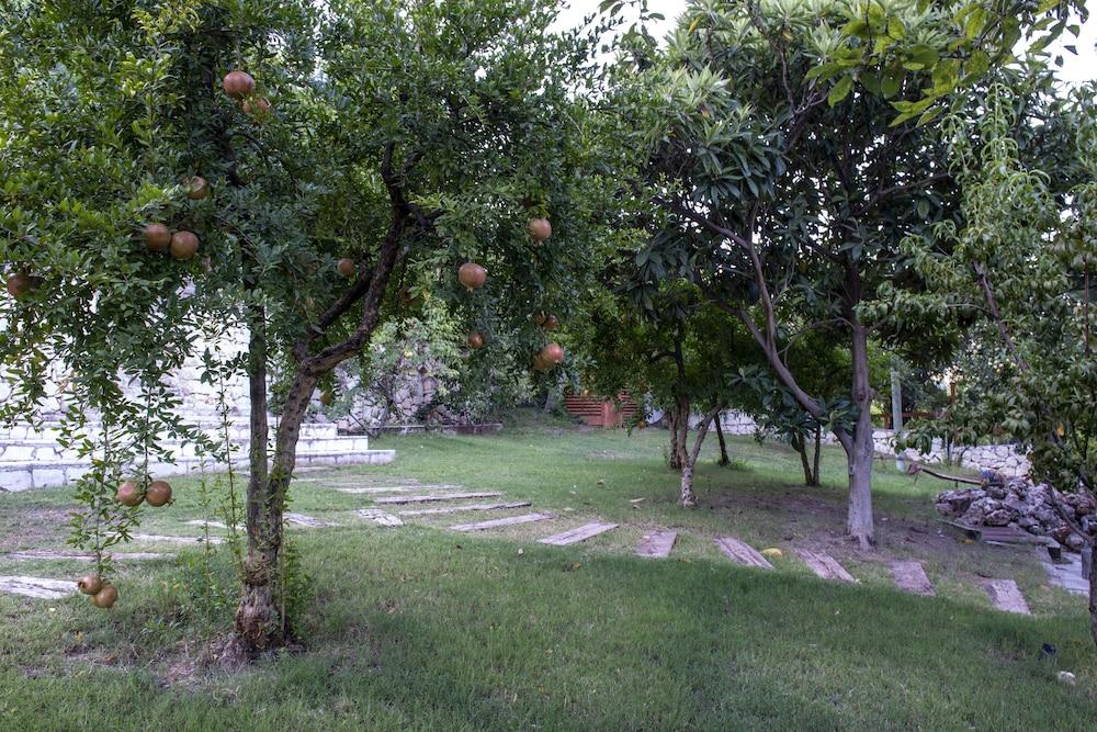 TRINITYS ULUPINAR — KEMER — фотография отеля №34