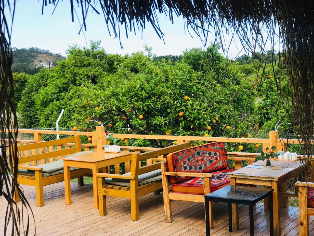 DREAM TOWN HOTEL — TEKIROVA — fotografie hotel nr. 27