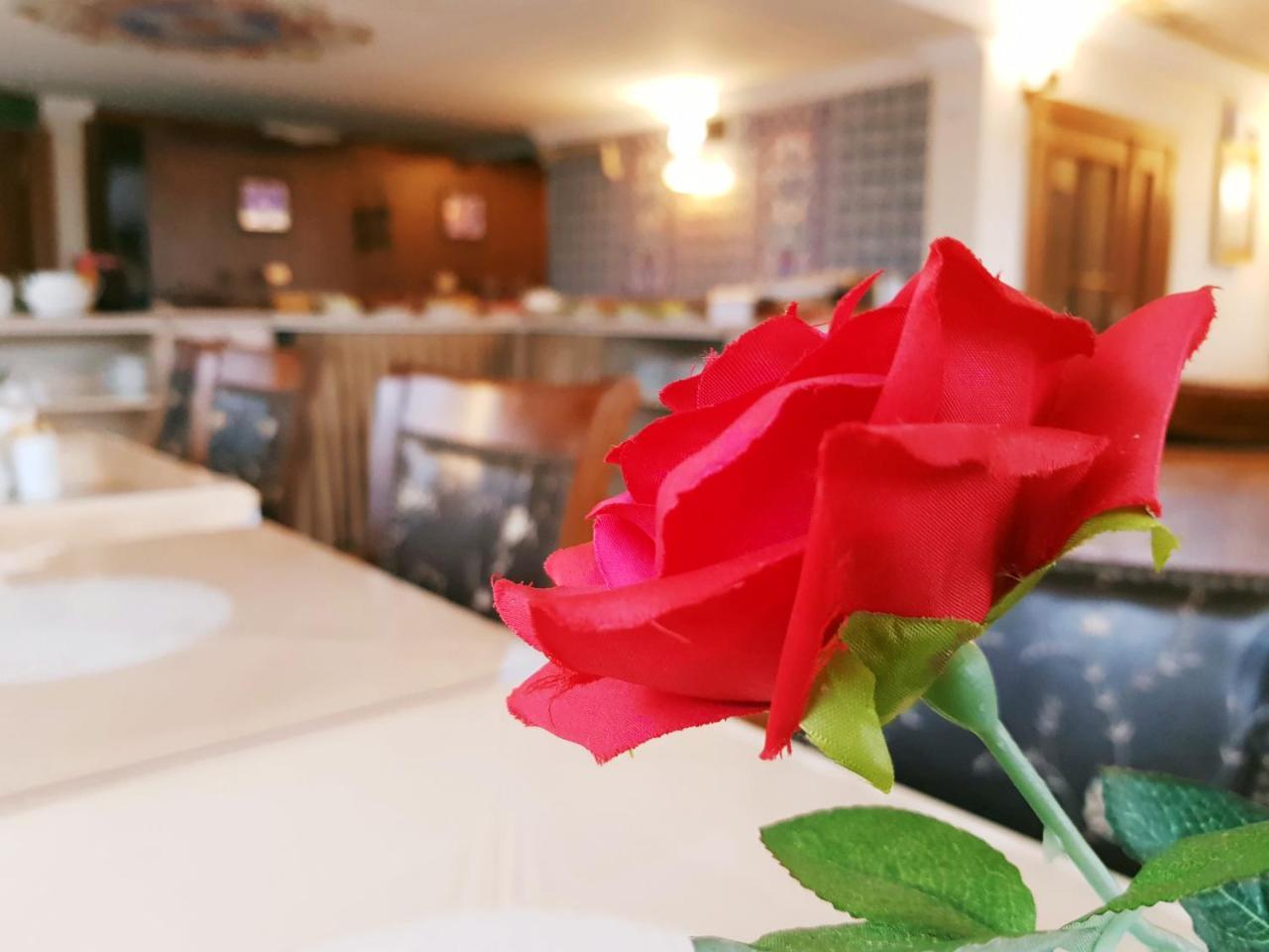 HOTEL ALDEM — ISTANBUL — фотография отеля №25