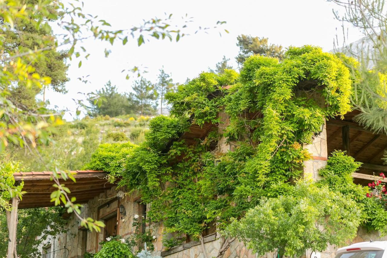 OLYMPOS MOUNTAIN LODGE — KEMER — фотография отеля №23