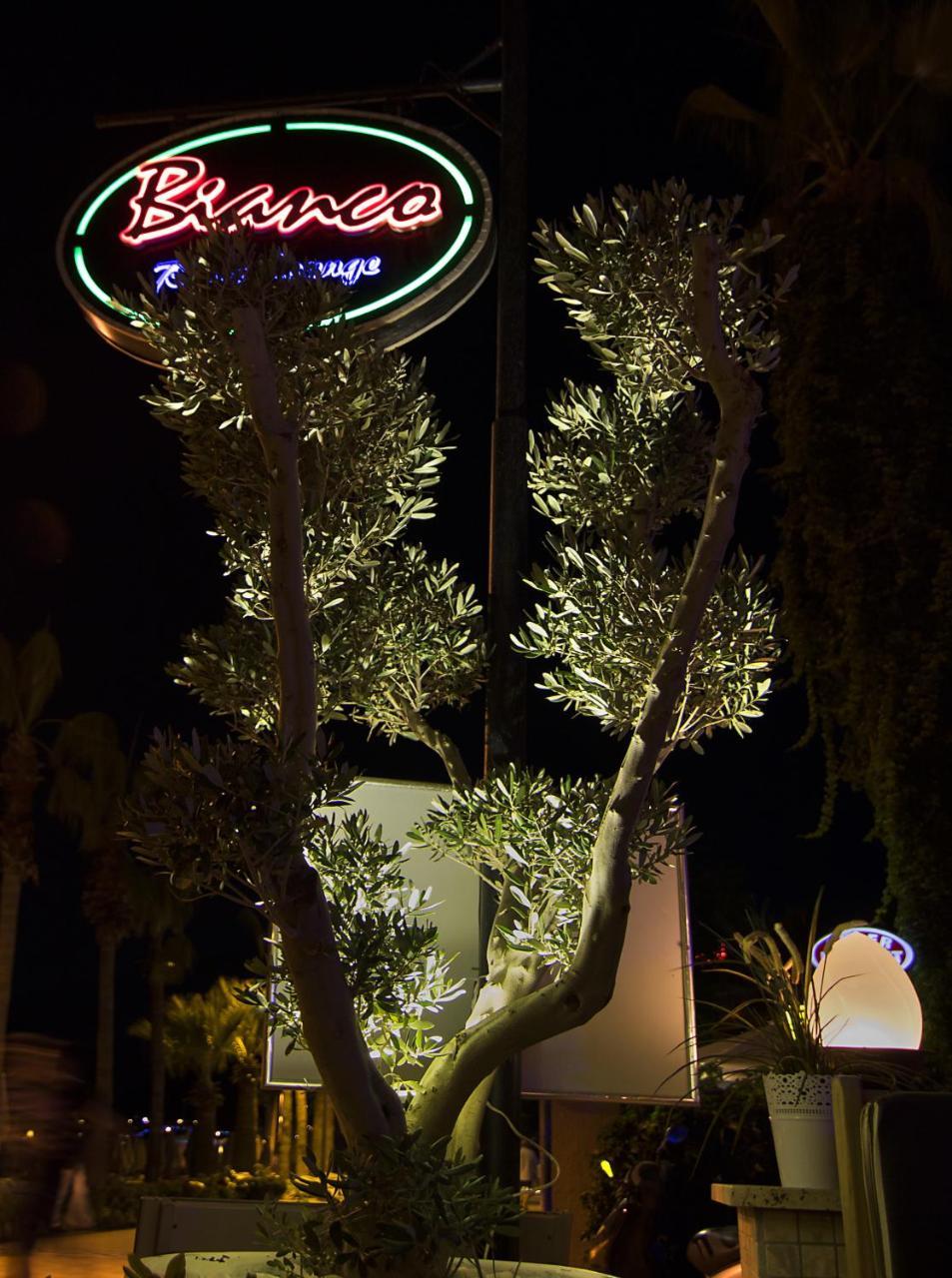 ROMANCE HOTEL MARMARIS — MARMARIS — фотография отеля №30