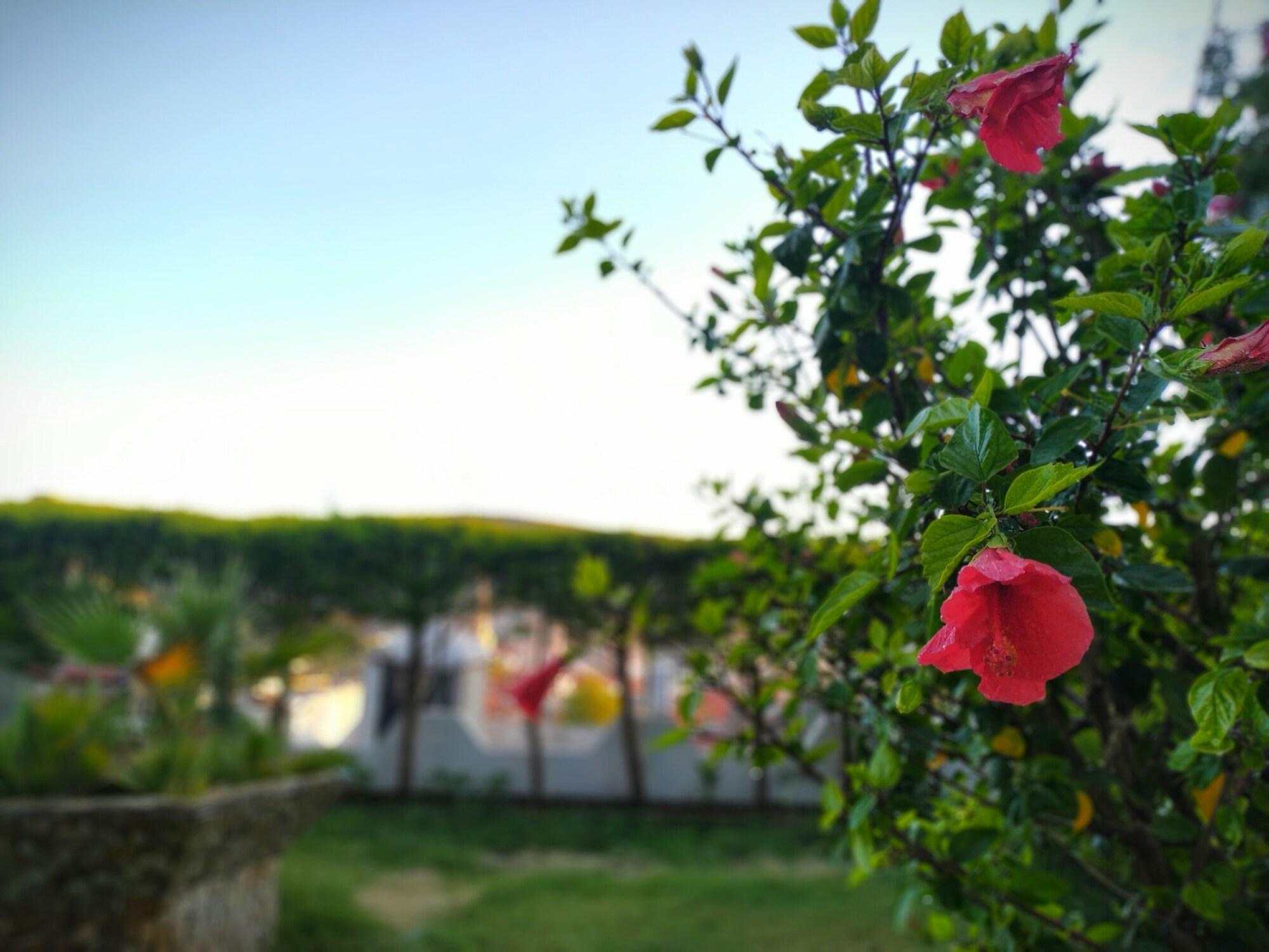 YALCIN — CESME — fotografie hotel nr. 25