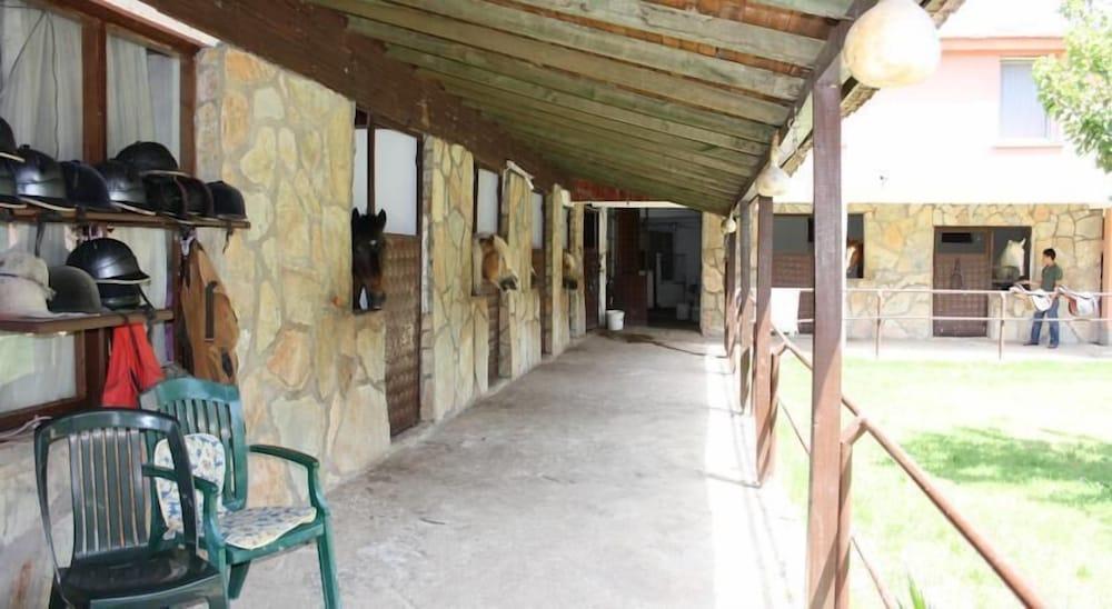 ORANJ RANCH (ORANGE & RANCH) — CAMYUVA — fotografie hotel nr. 15
