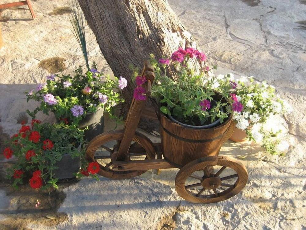 AYCI OTEL — BODRUM — фотография отеля №16