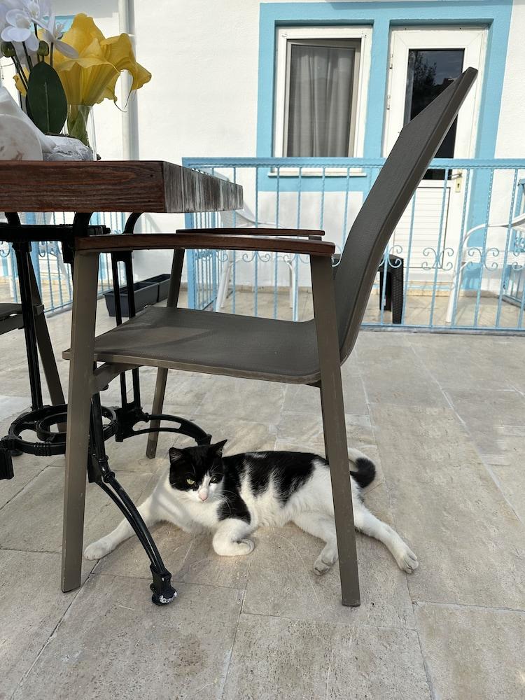 ENJOY HOTEL — FETHIYE — фотография отеля №32