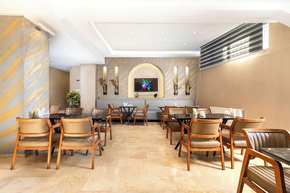 MERIDIANI TAKSIM HOTEL — ISTANBUL — fotografie hotel nr. 29