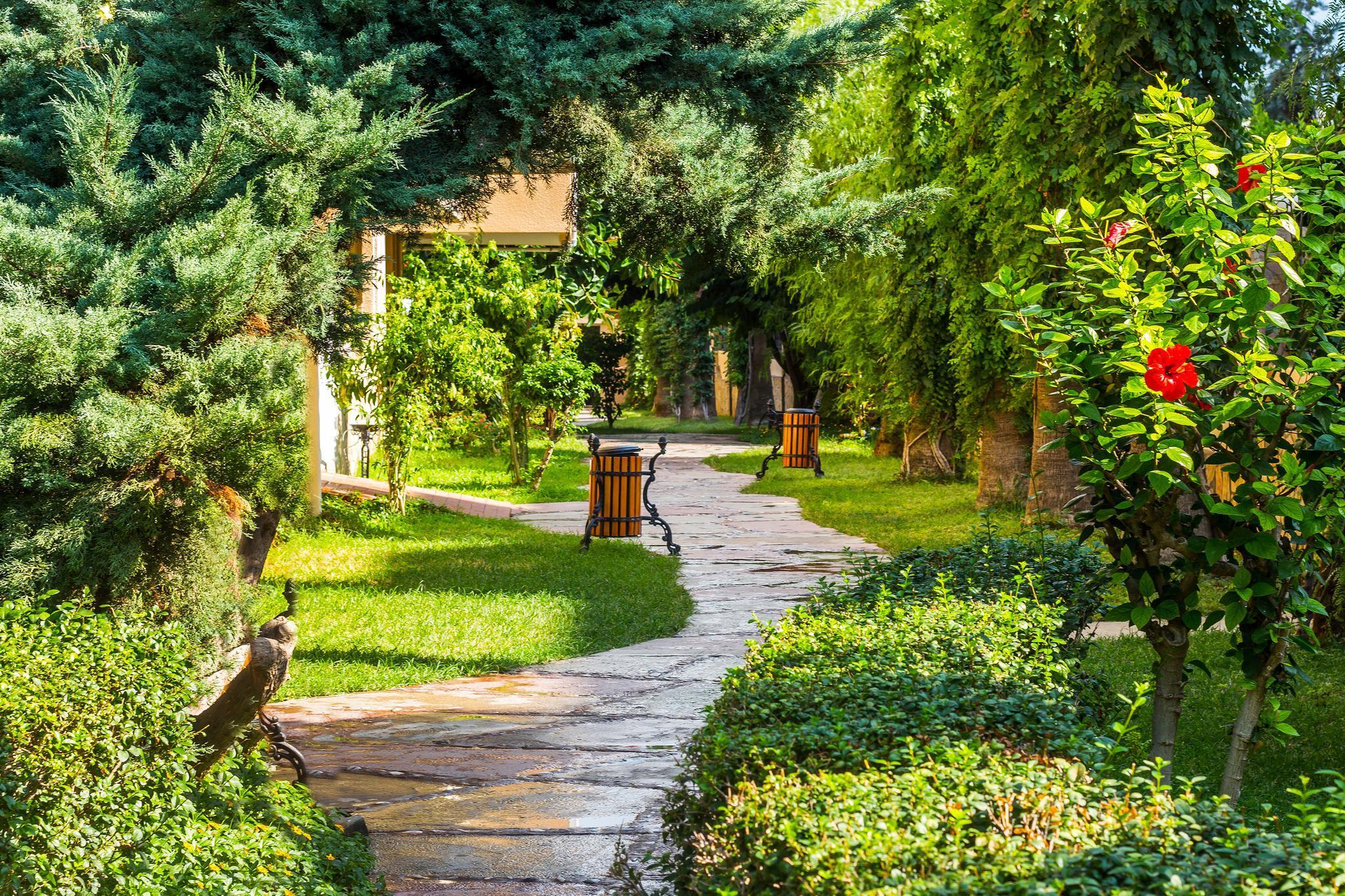 SARITAS — ALANYA — фотография отеля №18